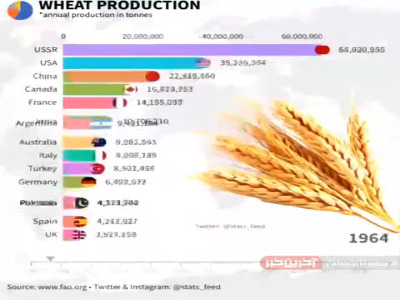 15 تولیدکننده عمده گندم جهان را بشناسید