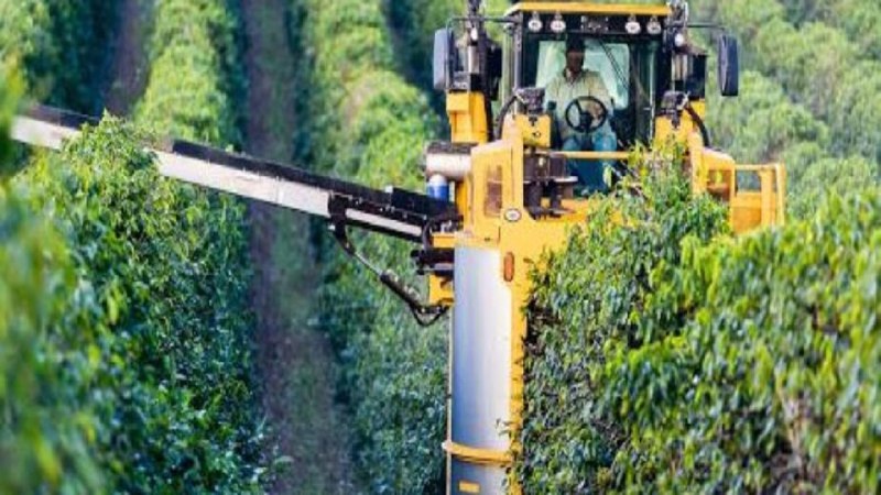 برداشت انگور با ماشین‌های مدرن