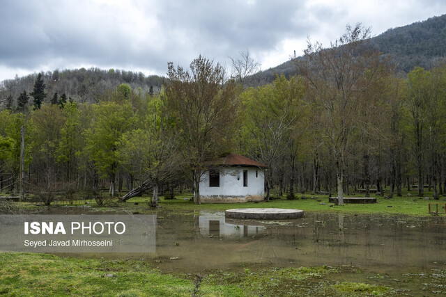 بارش باران در نخستین روز قرن جدید؛ وزش باد شدید در غرب و مرکز کشور