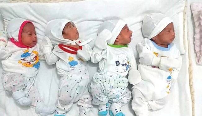 تولد نخستین چهارقلوهای قرن در استان البرز