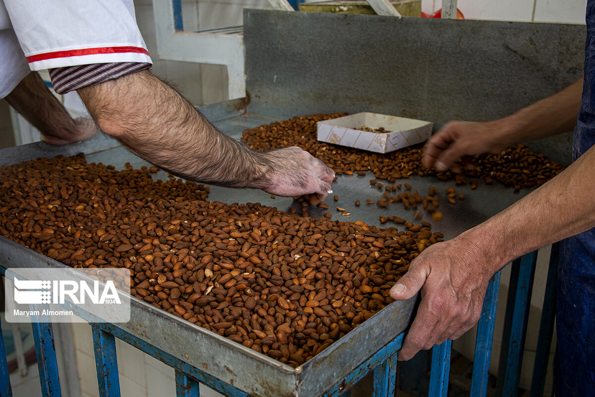 گز بلداجی سوغات چهارمحال و بختیاری