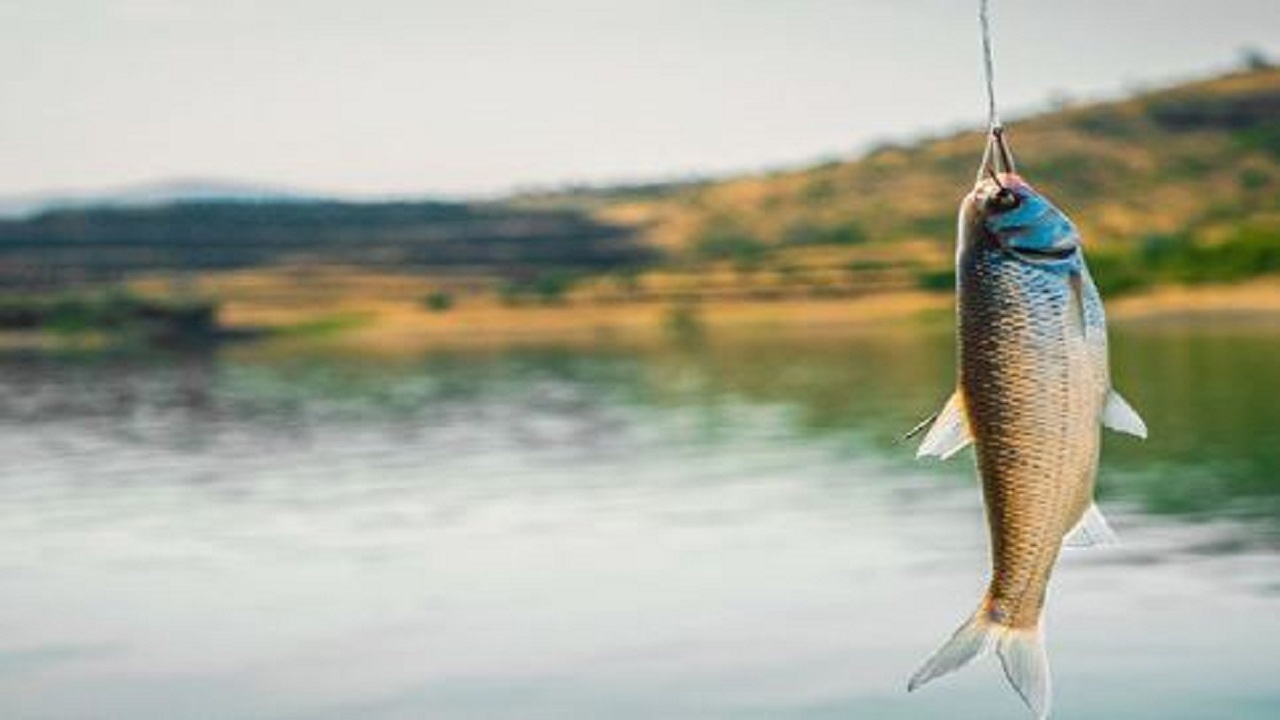 ماهی‌گیری با انگشت دست