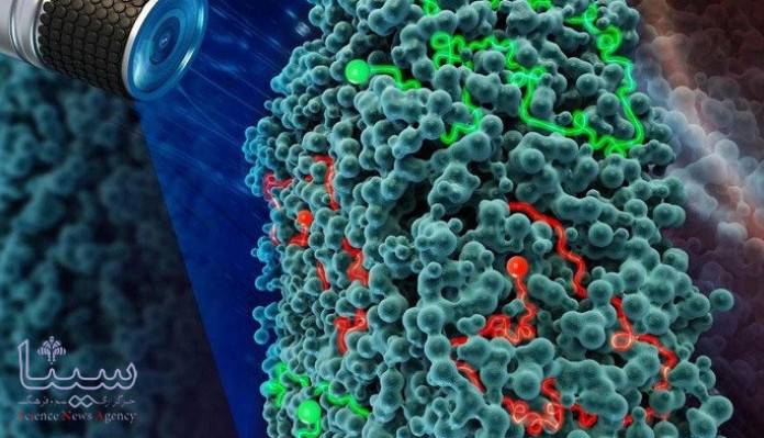 حذف آلاینده ها از آب به کمک میکرو روبات