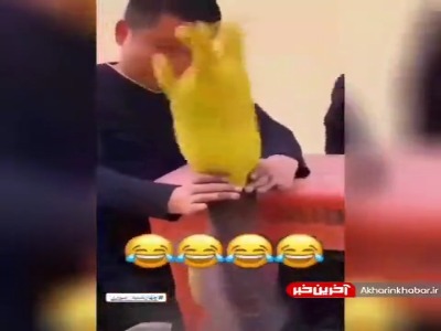 عاقبت بستن راه اگزوز با دست کش!