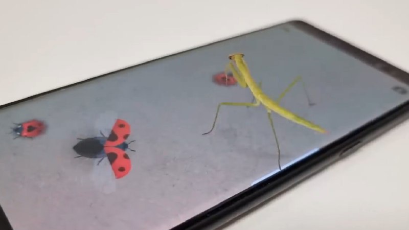 سر کار گذاشتن مانتیس با موبایل