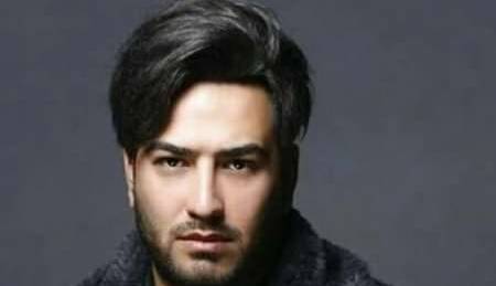 آهنگ پدرام پالیز به نام “دوستت دارم” را بشنوید