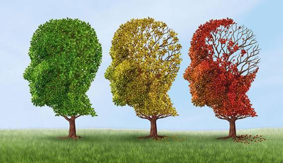 محل زندگی در ابتلای شما به زوال عقل نقش دارد