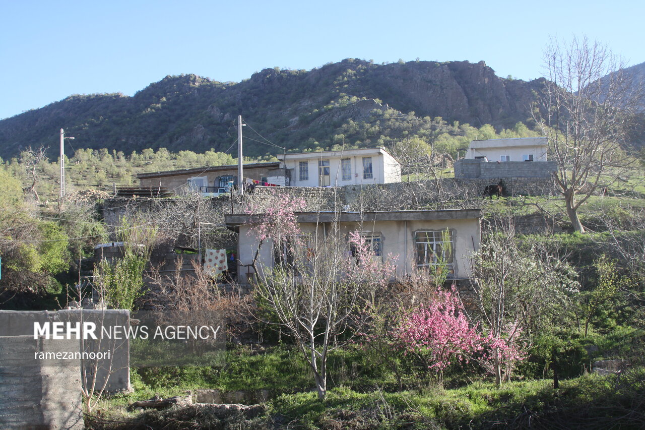 عکس/ کُلم؛ عروس روستاهای استان ایلام