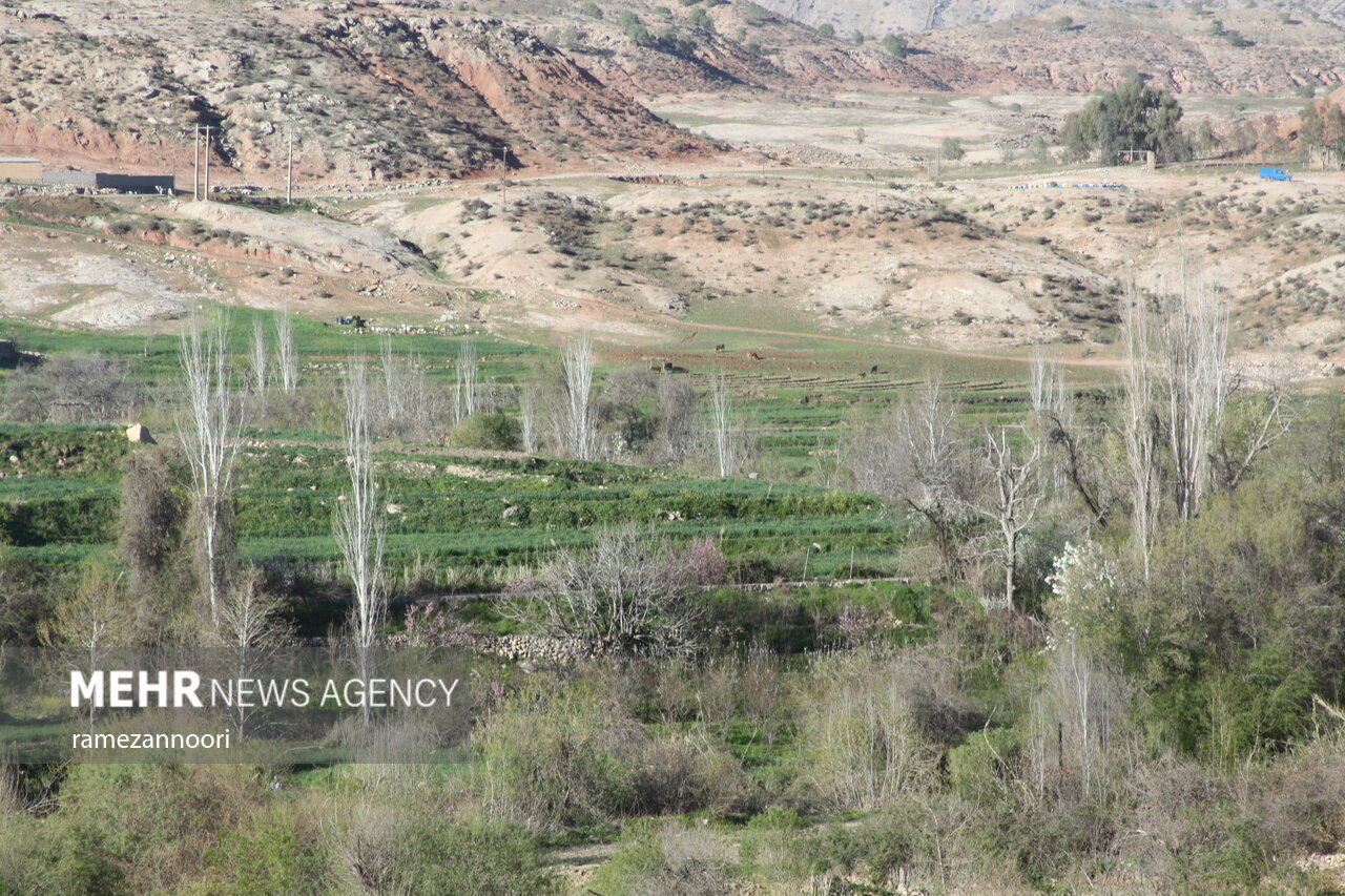 عکس/ کُلم؛ عروس روستاهای استان ایلام