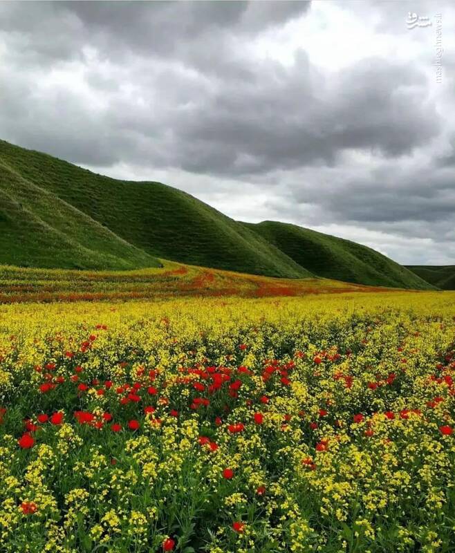 طبیعت بی‌نظیر گلستان