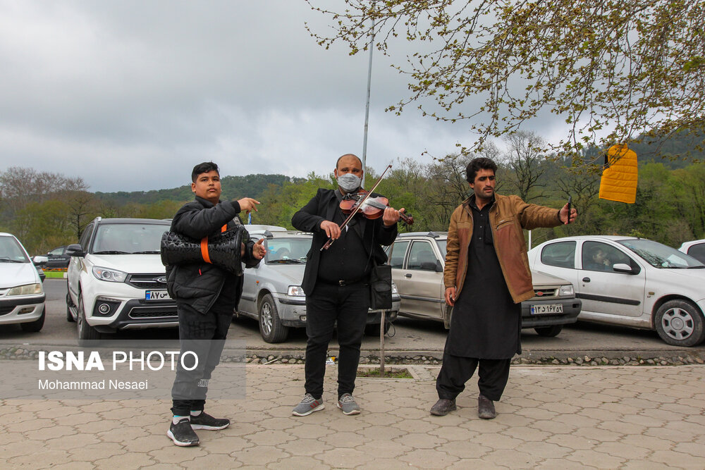 چایی با سماور زغالی در روز طبیعت 