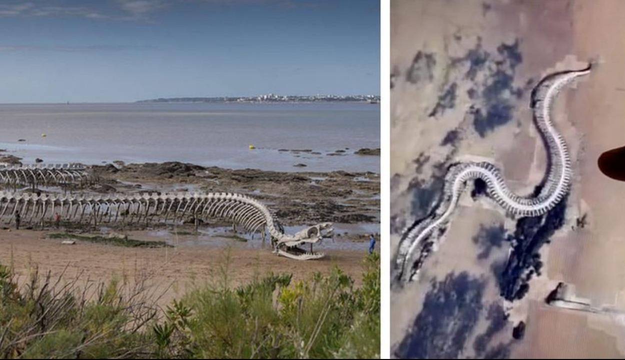 مار غول‌پیکر پیدا شده در گوگل مپس تقلبی از آب درآمد