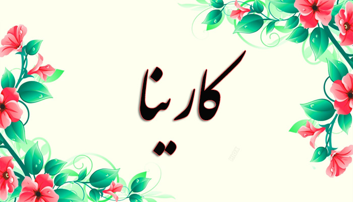 انتخاب اسم؛ معنی اسم «کارینا» چیست؟