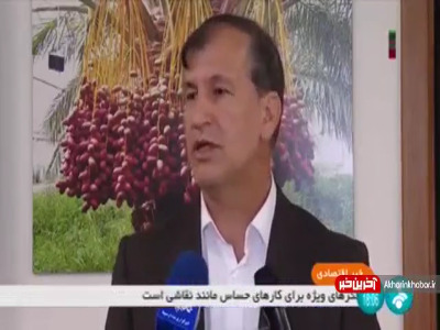 عرضه خرمای مضافتی بیش از ۴۸ هزار تومان تخلف است