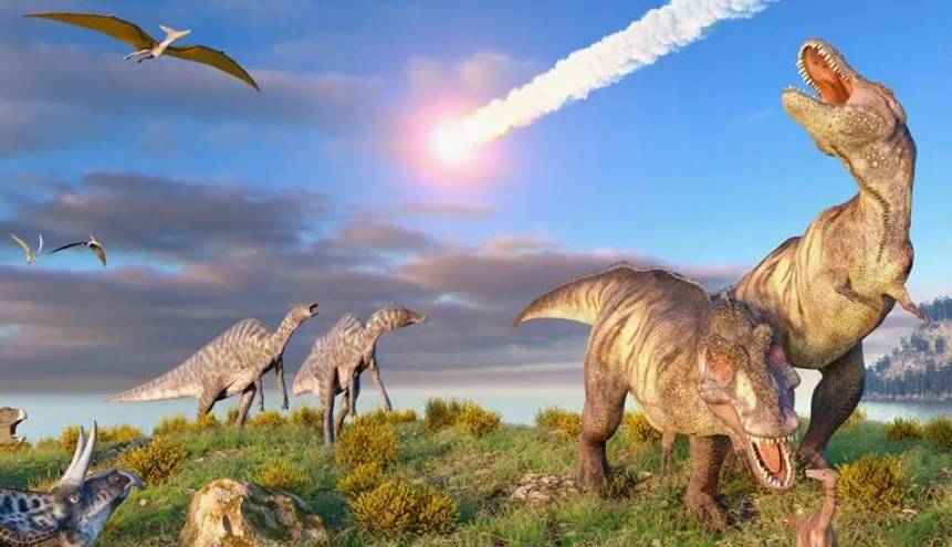 سوسک‌ها؛ موجوداتی که ۶۶ میلیون سال پیش به تماشای انقراض دایناسورها نشستند!