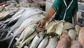 تعرفه واردات ماهی به عراق کاهش یافت