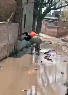 خلاقیت در خیس نشدن با دوچرخه در آب باران!