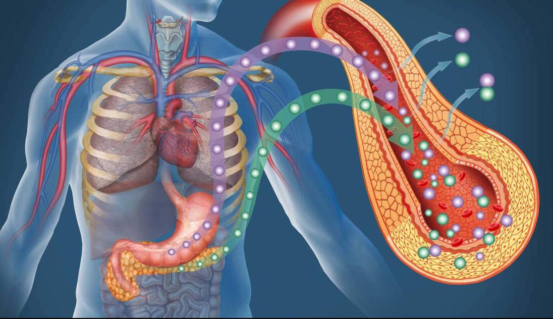دیابت نوع دو احتمالا در آینده نزدیک با امواج فراصوت درمان می‌شود
