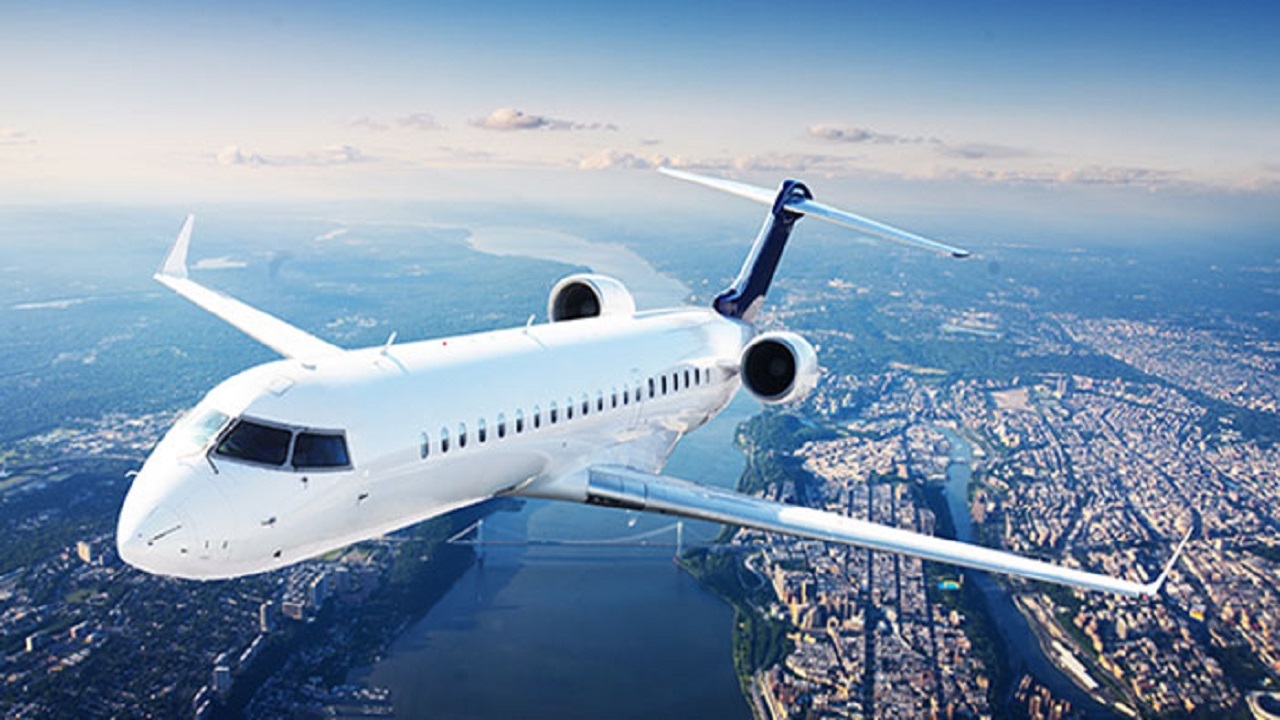 پرواز خفاش در داخل هواپیما مسافربری