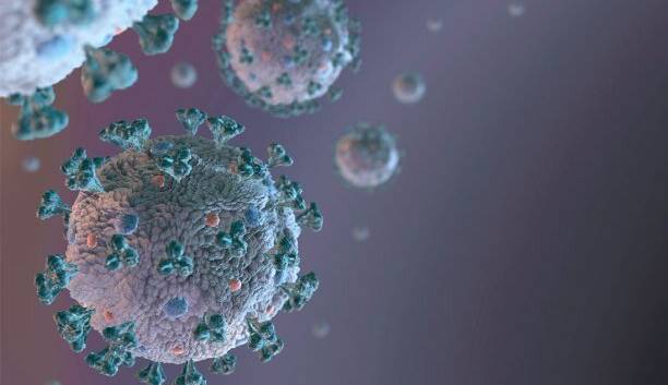 کرونا/ کووید ۱۹ با آلوده کردن سلول های ایمنی موجب التهاب می شود  