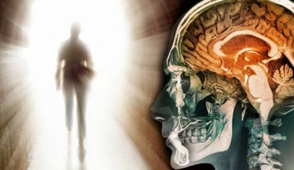 در لحظه مرگ چه اتفاقی در مغز می افتد؟