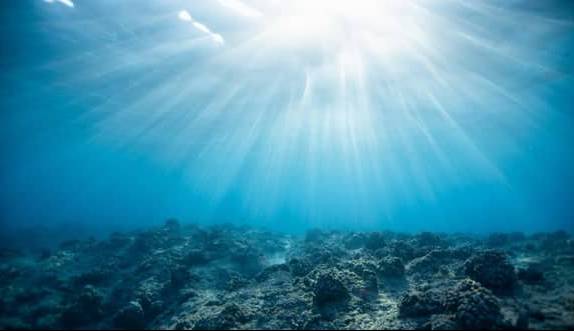 کشف هزاران گونه ویروس جدید در اقیانوس‌ها؛ آیا بدتر از کرونا هم وجود دارد؟