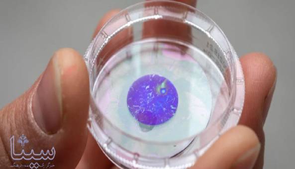 استفاده از فیلم و نور برای تسریع در بهبود آسیب‌ های عصبی