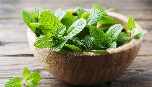 مصرف این سبزی در افطار و سحر از یبوست، خشکی و آکنه پوست جلوگیری می کند