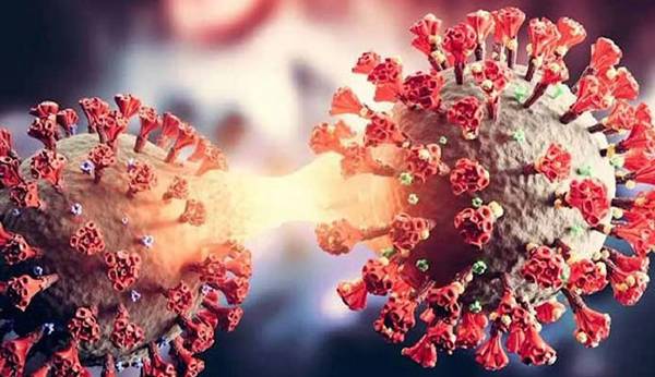 کرونا/ آیا نوع جدید اومیکرون XE خطرناک‌تر از سویه قبلی است؟