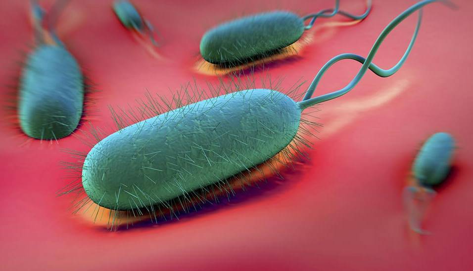 همه چیز در مورد سرطان معده