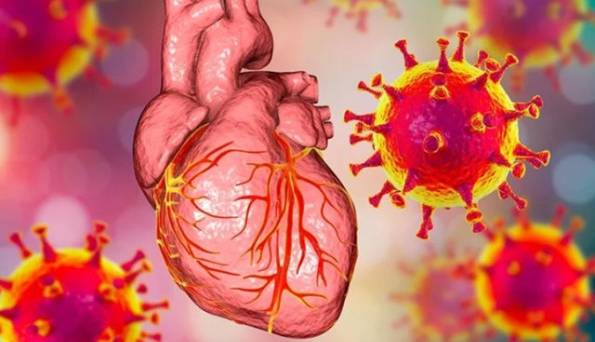 افراد دچار اختلالات آلرژیک در معرض خطر بیماری قلبی هستند