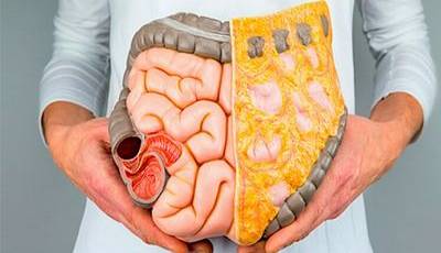 مهمترین نکته در مورد روده و دستگاه گوارش