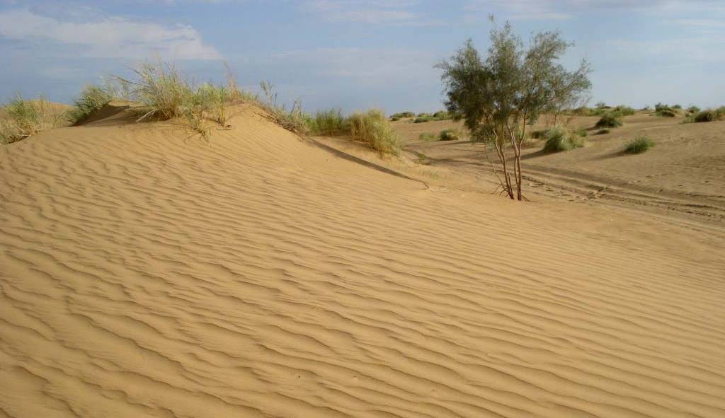 اینفوگرافی؛ خطر بیابانی شدن در کمین ایران  