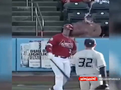 تماشاچی نگون بخت