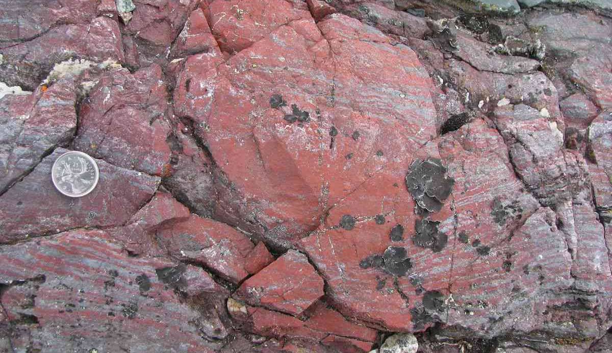 حیات روی زمین 300 میلیون سال زودتر از تصورات قبلی شروع شده است