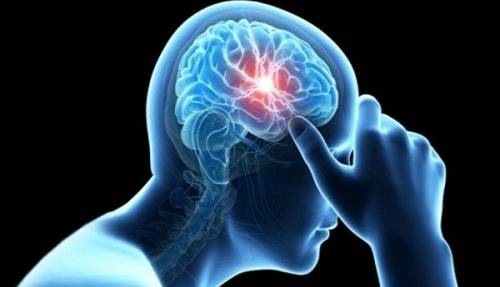 راز مغز؛ چگونه پیچیده‌ترین عضو بدن با وجود از دست‌دادن بخشی از خود، عملکردش را حفظ می‌کند؟