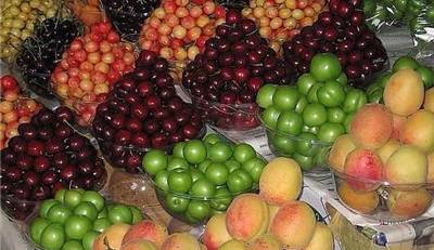 جهاد کشاورزی: میوه امسال ارزان می‌شود
