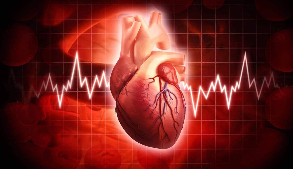 هوش مصنوعی جدید محققان زمان ایست قلبی را در بیماران پیش‌بینی می‌کند