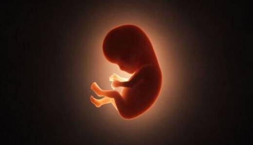 اما و اگرهای غربالگری جنین در قانون جوانی جمعیت