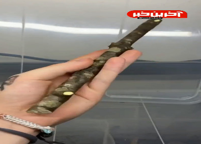 به این میگن استتار