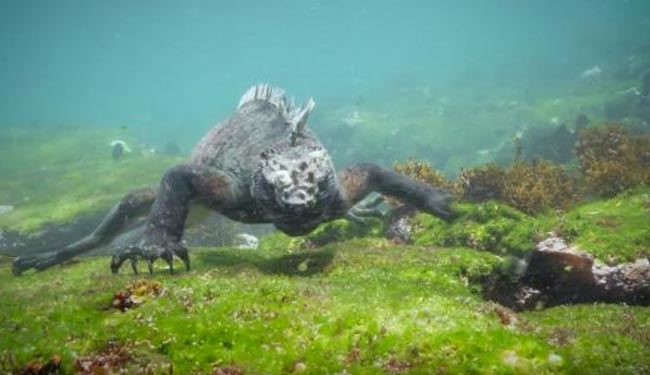 گودزیلای دریایی دیده بودین!