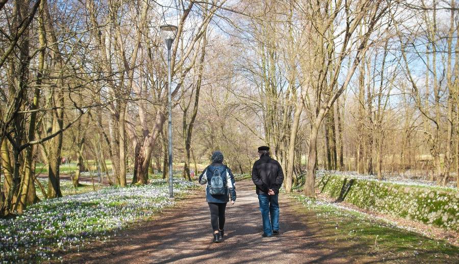 انجام این کار دو بار در هفته، خطر آلزایمر را کاهش می‌دهد