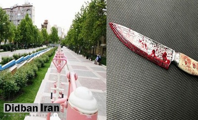 جزییات حمله مرد اوباش به دختر دانشجو در پارک برای ربودن وی