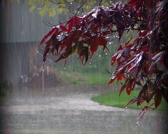 پیشکسوت هواشناسی: اردیبهشت‌ ماه “پربارش” در راه است!