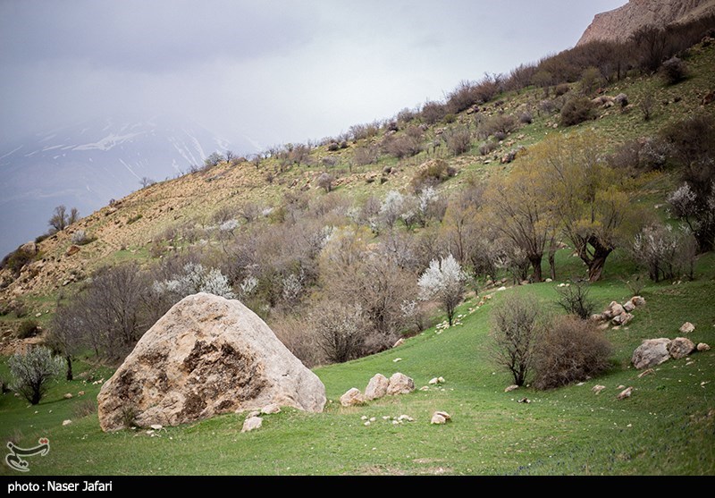 عکس/ طبیعت زیبای دشت آزو 