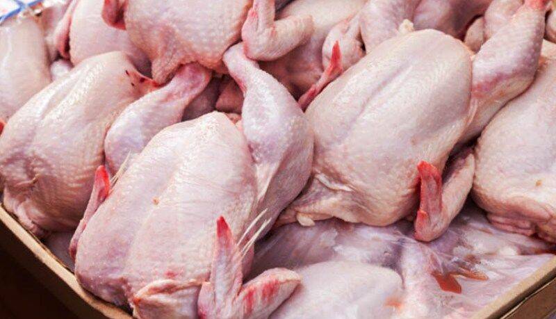 قیمت مرغ به 4000 تومان زیر نرخ مصوب کاهش یافت