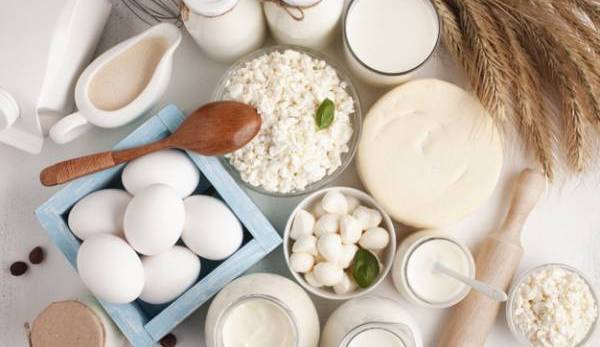 عملکرد و نقش مهم پروتئین در بدن