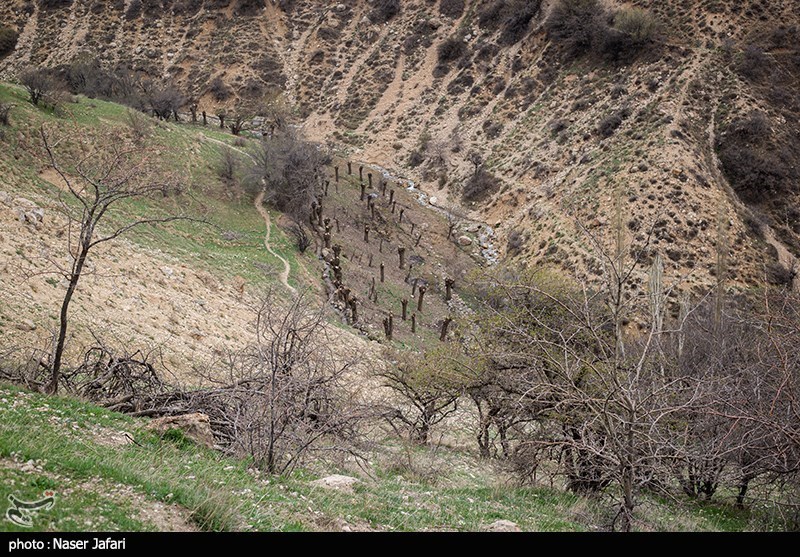 عکس/ طبیعت زیبای دشت آزو 