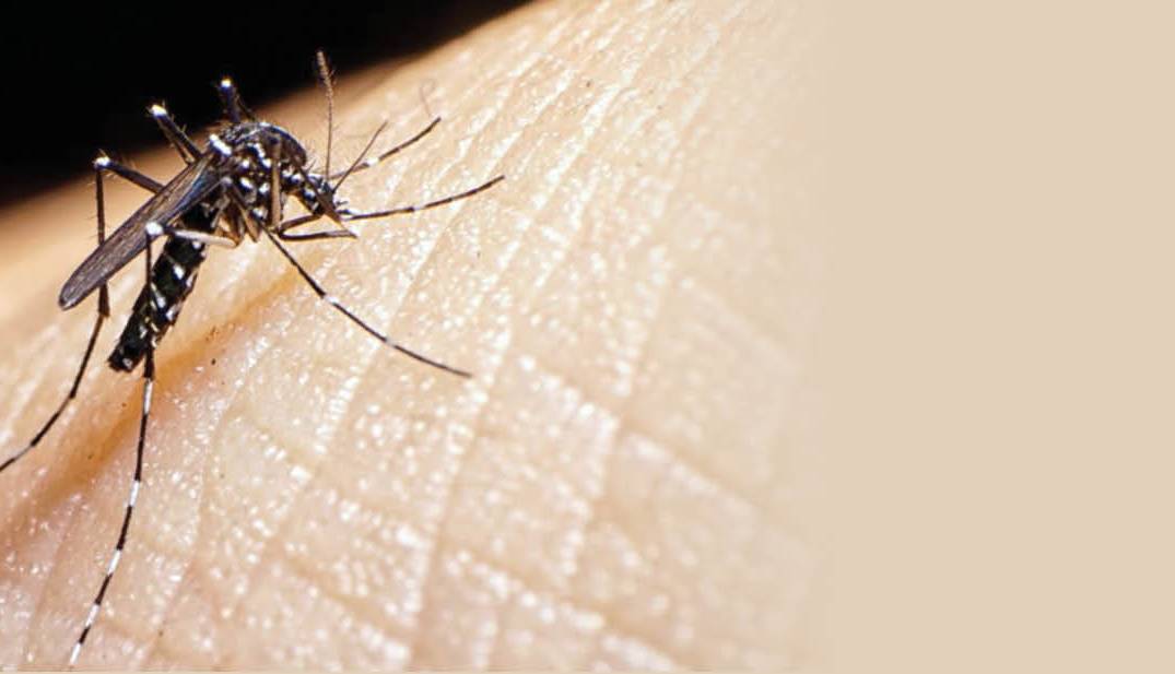 ویروسی جدید د ر ر ا ه است؟