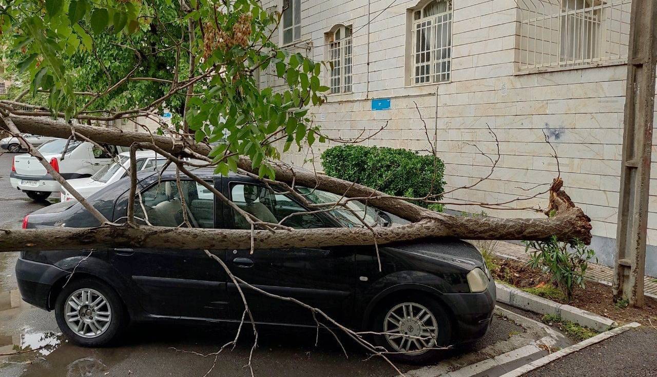 تصاویر خسارات طوفان تهران